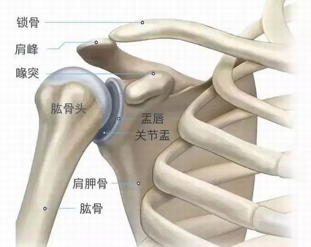 调整大小 2.jpg